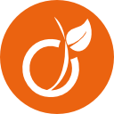 Icone Viadeo